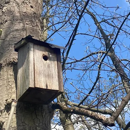 Familienfreundliche Direkt Am Nationalpark Unteres Odertal Ferienhaus
