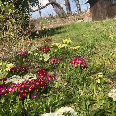 Familienfreundliche Direkt Am Nationalpark Unteres Odertal Hébergement de vacances *