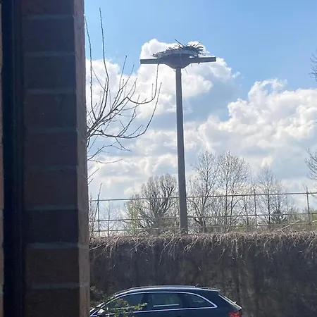 Hébergement de vacances Familienfreundliche Direkt Am Nationalpark Unteres Odertal *