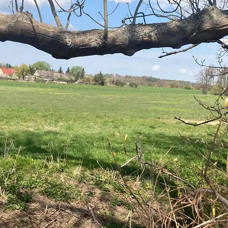 Familienfreundliche Direkt Am Nationalpark Unteres Odertal Criewen