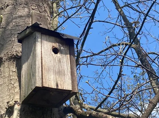 Familienfreundliche Direkt Am Nationalpark Unteres Odertal Casa de Férias