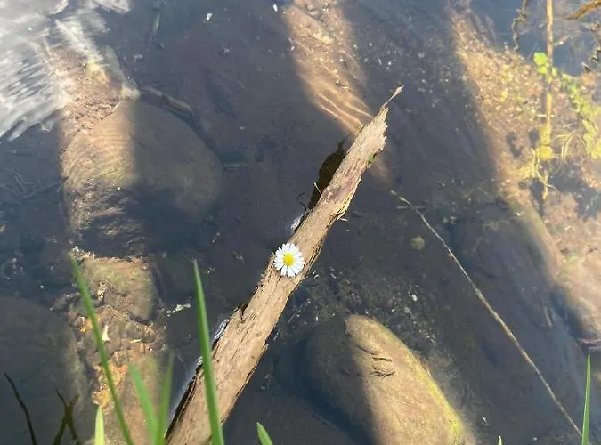 Casa de Férias Familienfreundliche Direkt Am Nationalpark Unteres Odertal Criewen