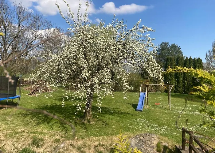 Familienfreundliche Direkt Am Nationalpark Unteres Odertal