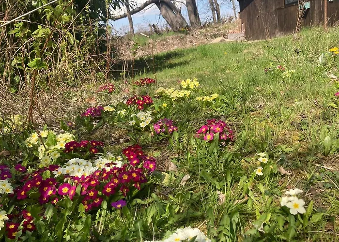 Familienfreundliche Direkt Am Nationalpark Unteres Odertal Casa de Férias *