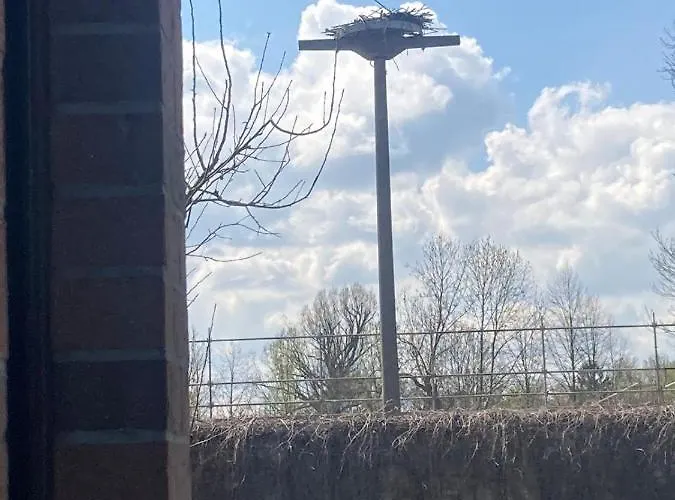 Casa de Férias Familienfreundliche Direkt Am Nationalpark Unteres Odertal *